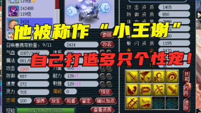 梦幻西游：他被人称作“小王谢”，自己打造多只个性宠，过程辛酸