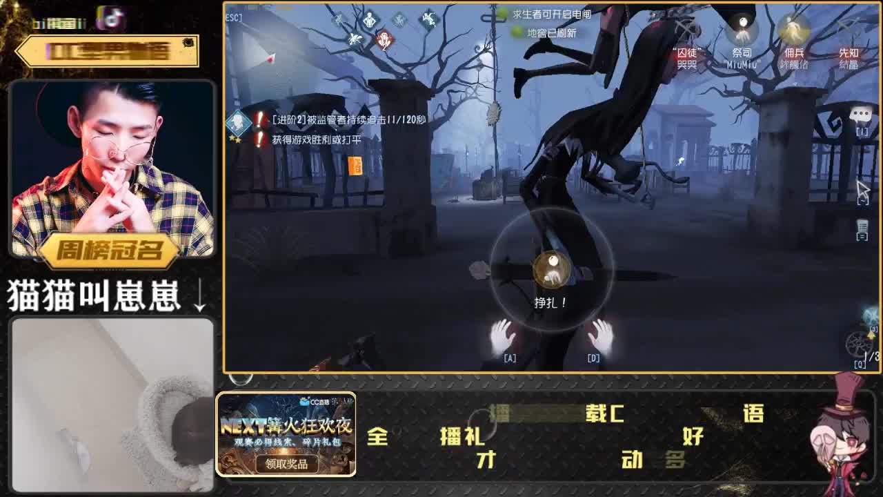 第五云吸猫直播间