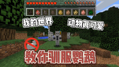 我的世界小知识：你知道鹦鹉如何驯服吗！