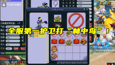 梦幻西游：王谢的全服第一护卫打“林中鸟”，第2本上书上去惨了