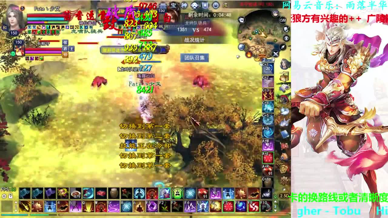 菊花150司星2