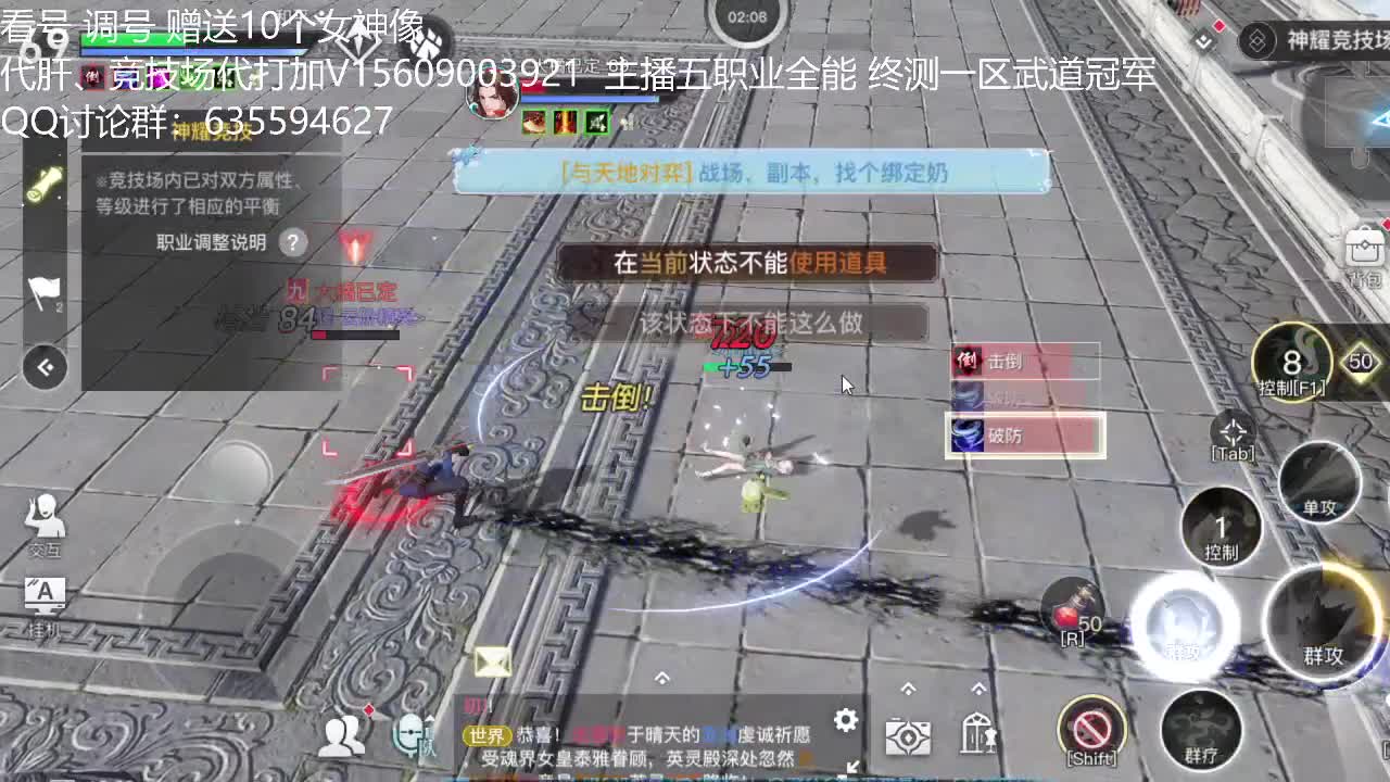 接代肝 竞技场代打 第1段