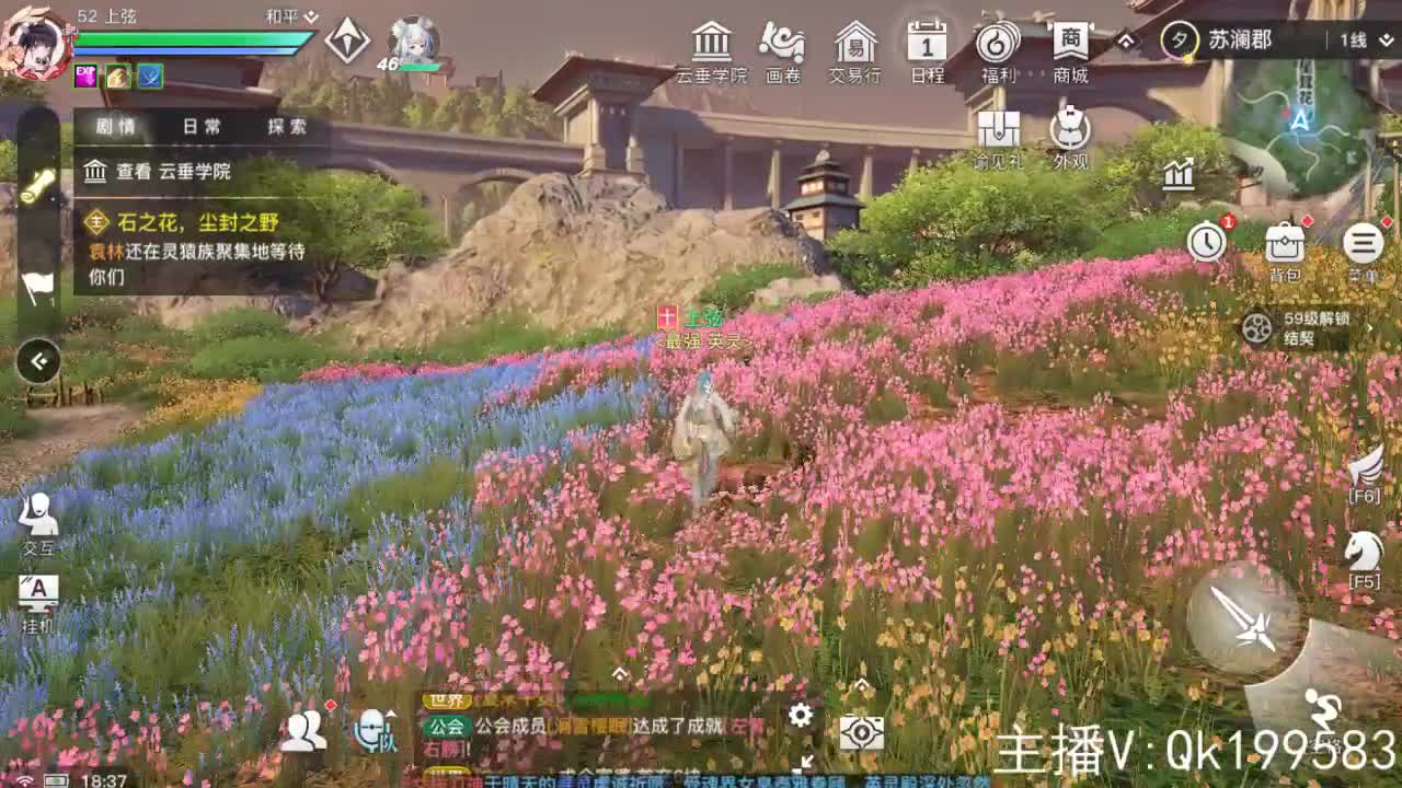 接调号看号！星落上分 第2段
