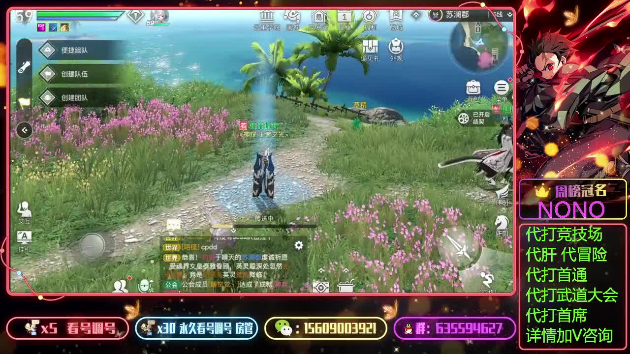 代竞技场冲王者代肝 第2段