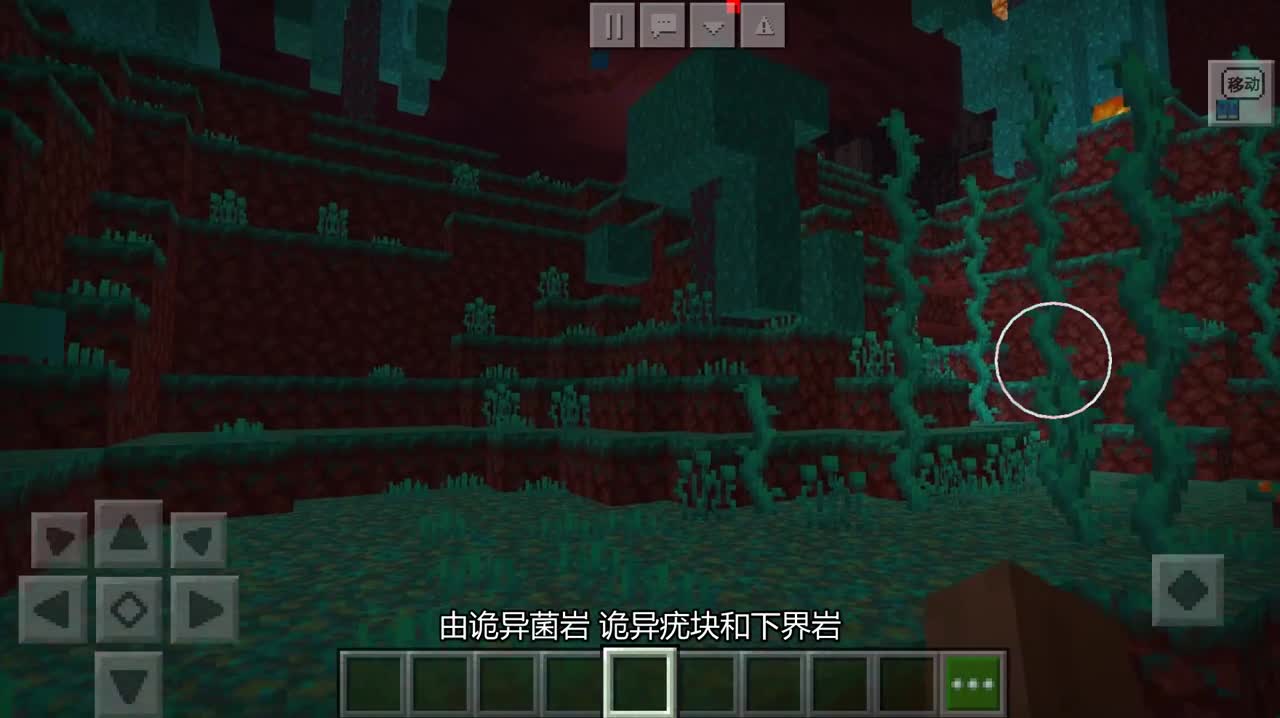 【我的世界下界更新】新群系：地狱疣森林介绍