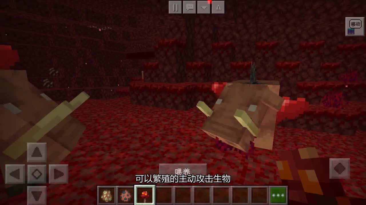 【我的世界下界更新】新生物：疣猪兽介绍