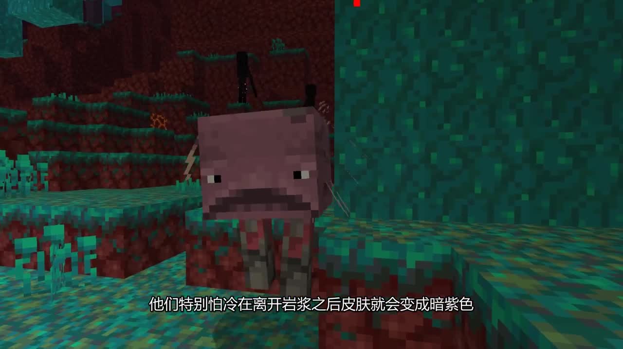 【我的世界下界更新】新生物：炽足兽介绍