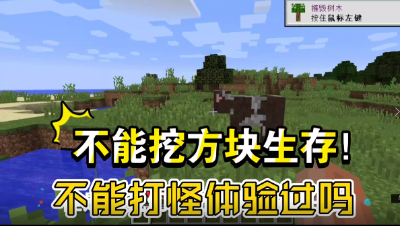 我的世界大挑战：不可以挖方块，不可以打怪，你可以坚持一天吗？