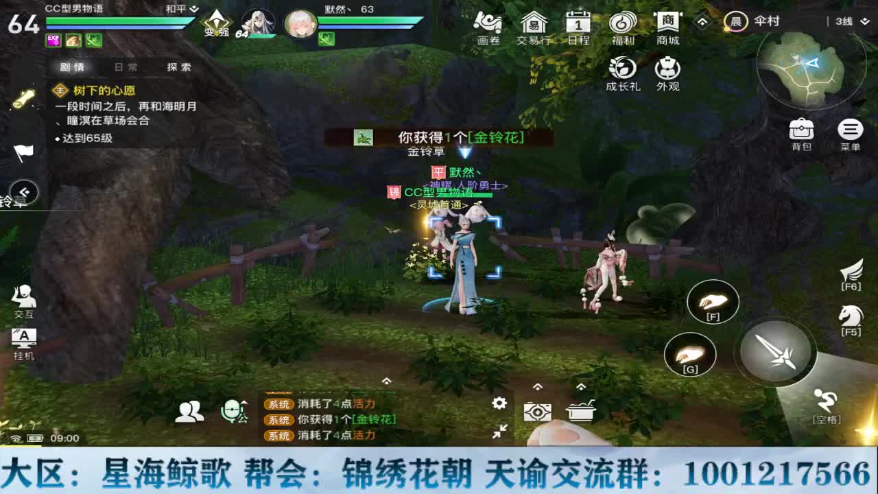 天谕稳定接冒险副本提升战力 第2段