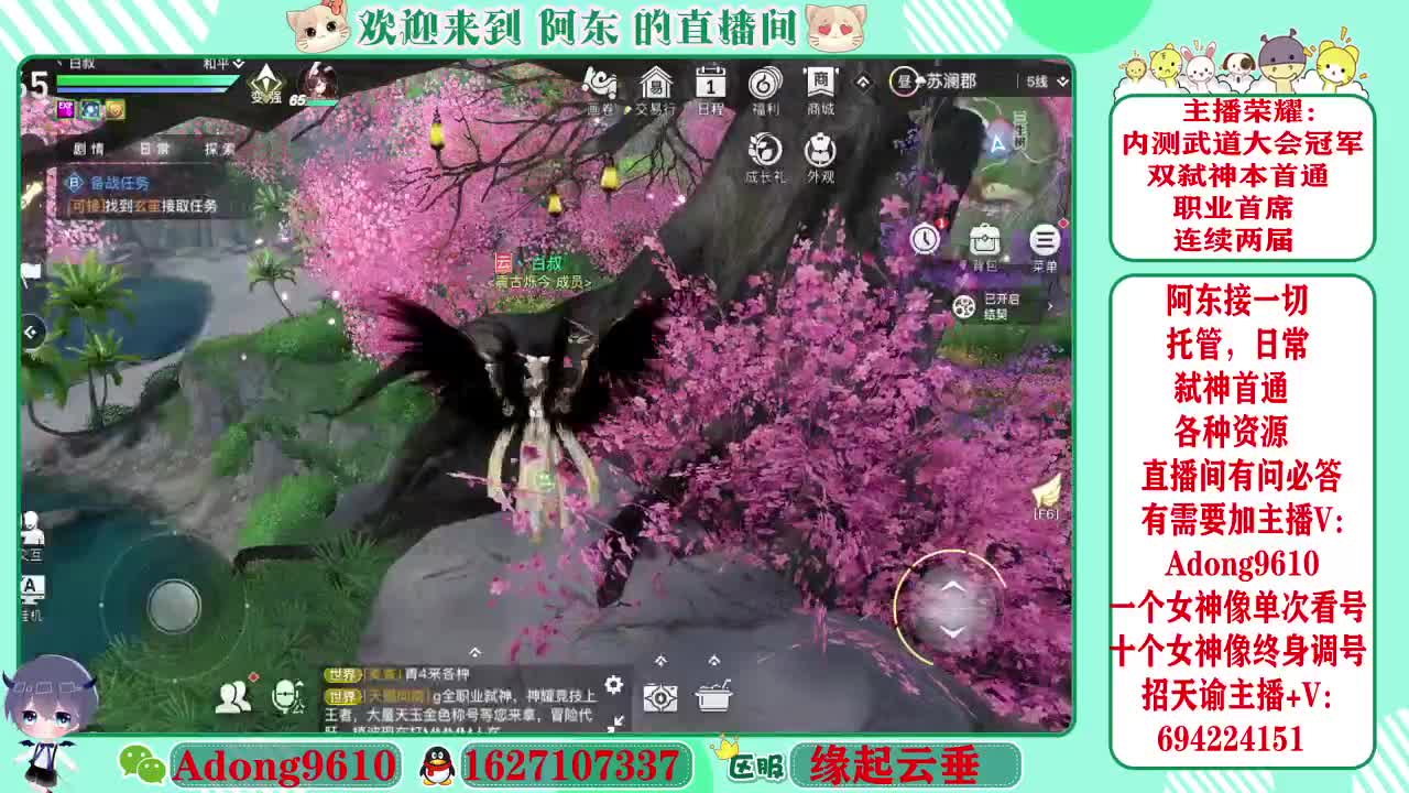 武道大会冠军专业调号看号~ 第3段