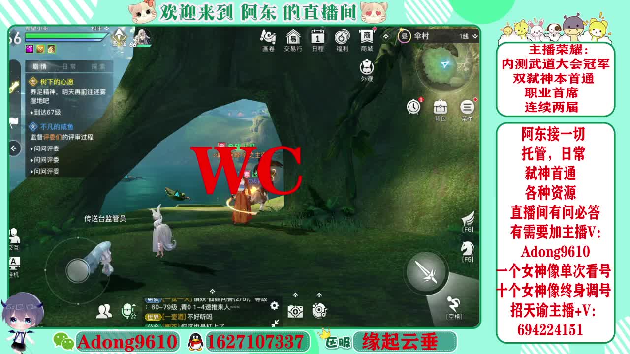 武道大会冠军专业调号看号~