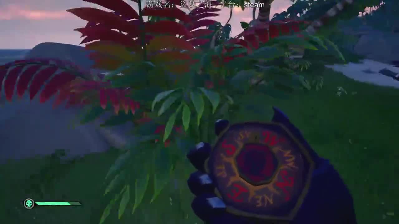 洋洋洋：第五闲散主播，洋某洋