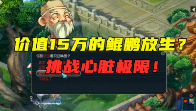 梦幻西游：15万新领的鲲鹏直接放生？王谢真不是吹的，真刺激！