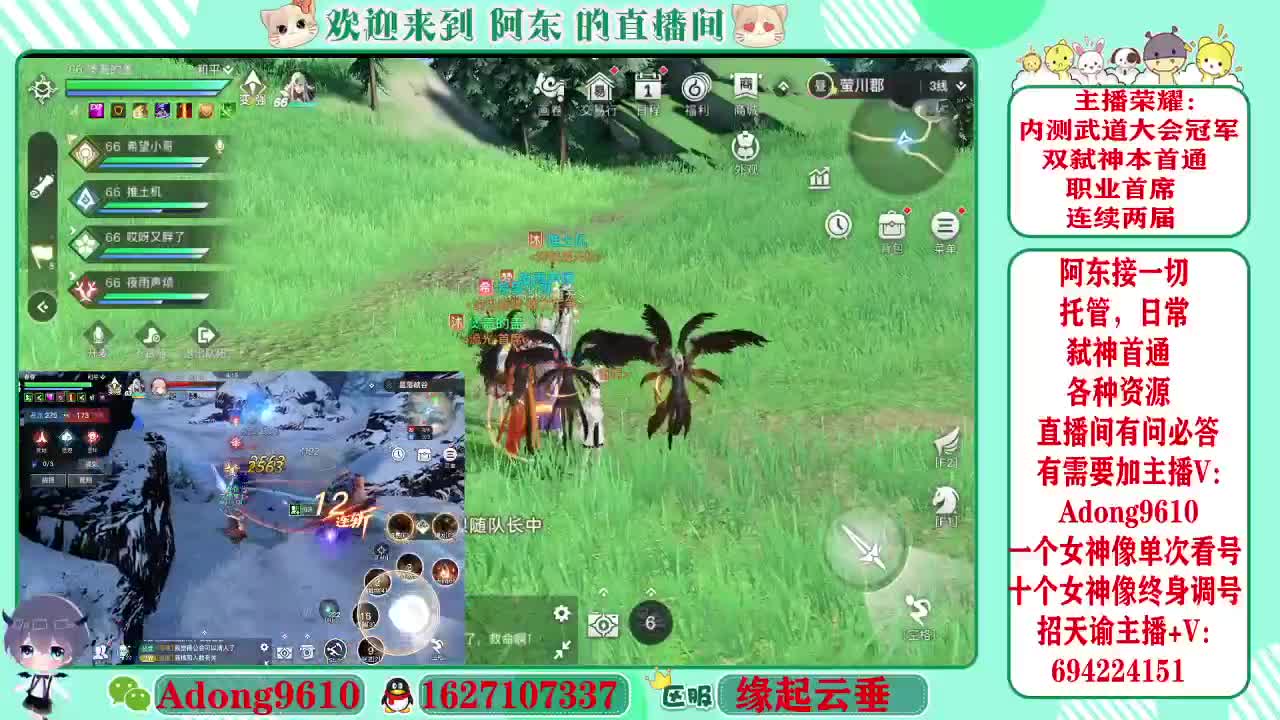 武道大会冠军专业调号看号~ 第4段