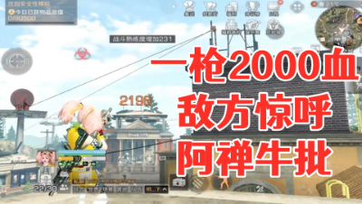 一枪2000血!敌方直呼阿禅牛批!明日之后 静观思禅 抄家