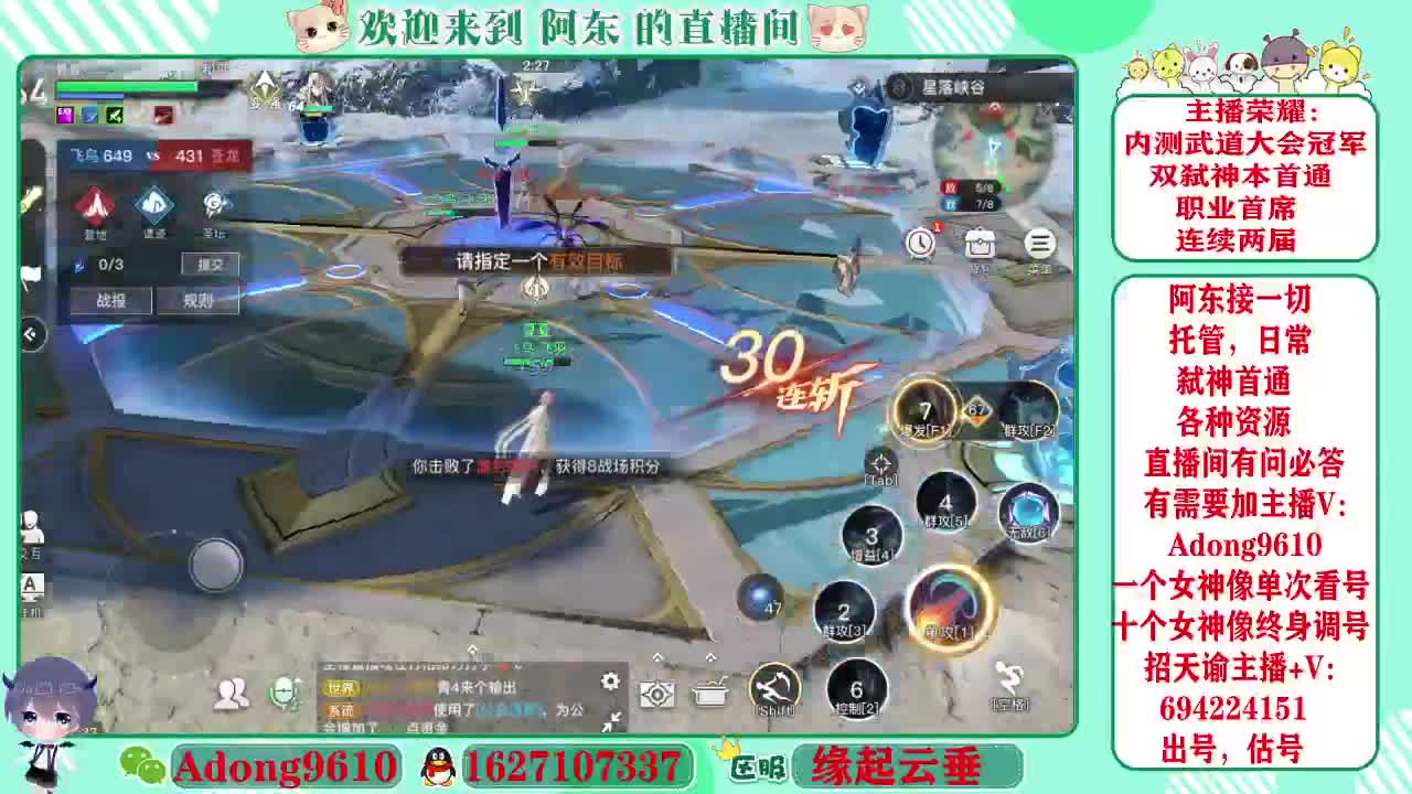 武道大会冠军专业调号看号~ 第4段