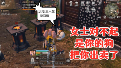 女士对不起!是你的宠物把你暴露了!明日之后 静观思禅 抄家