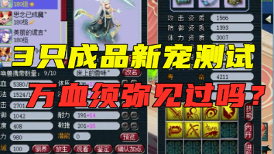 梦幻西游：拥有万血的须弥宠见过吗？老王3只成品新宠同时测试！