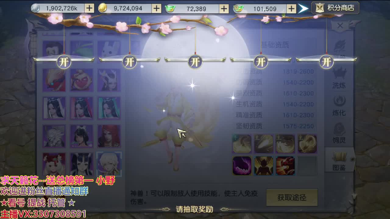 直播间看号提战 第1段