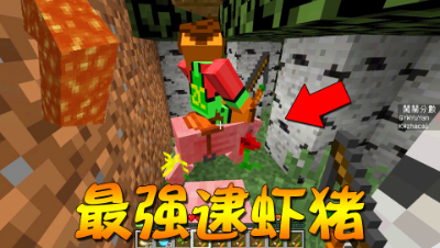 我的世界丨秋名山神猪出现了！史上最刺激的骑猪赛跑！