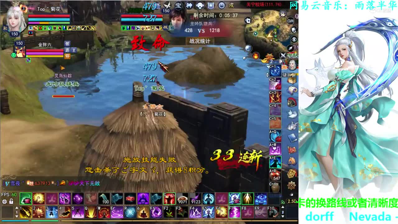菊花150司星