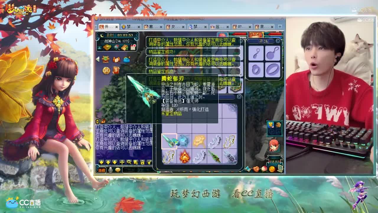 【资源鉴定】雪无武器装鉴定【CC情报站】