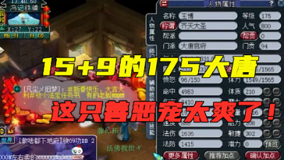 梦幻西游：175级15+9大唐展示，一只出其不意善恶宠吸引老王！