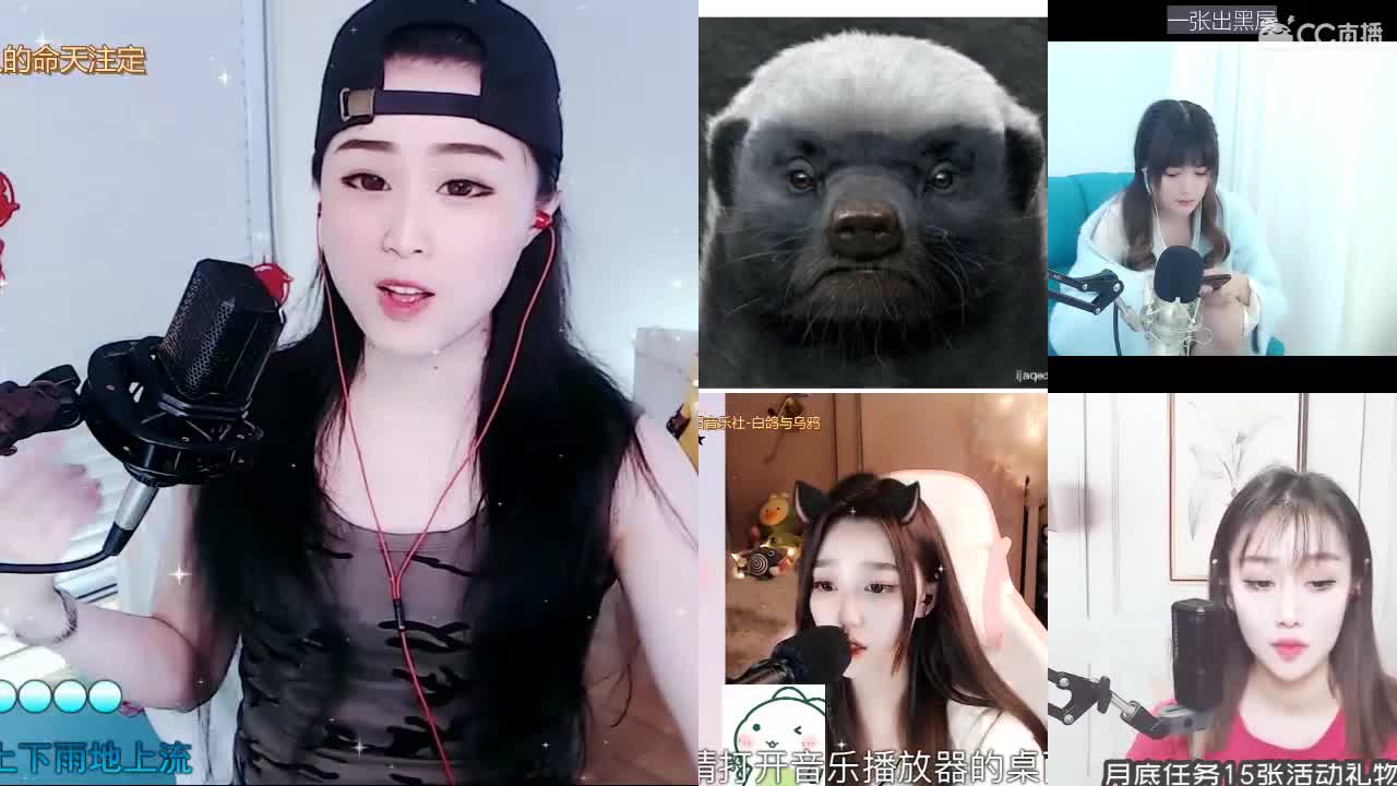 唱歌坤坤是认真的！