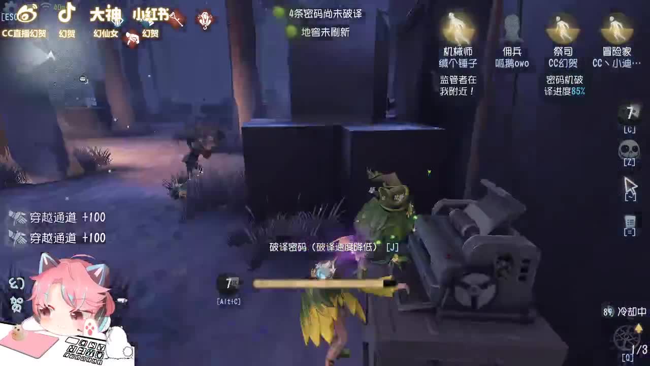 新人请多关照