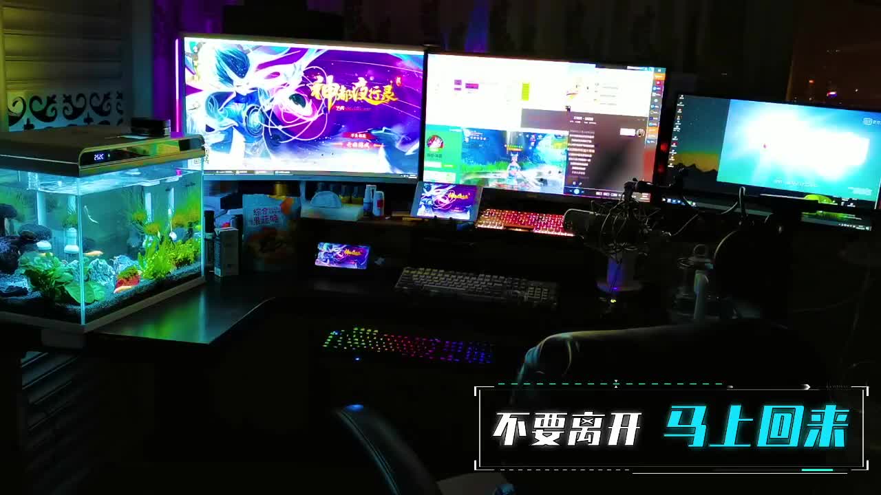 鱼你：代肝/托管/排塔爬塔 第1段