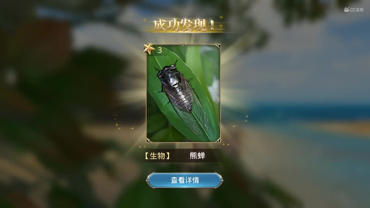 大航海之路-熊蝉