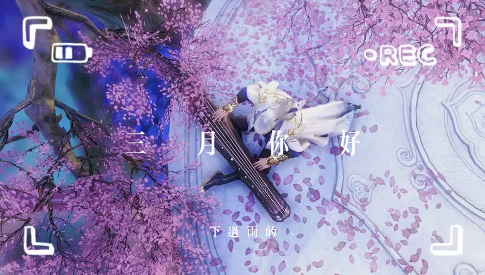 樱花树下
