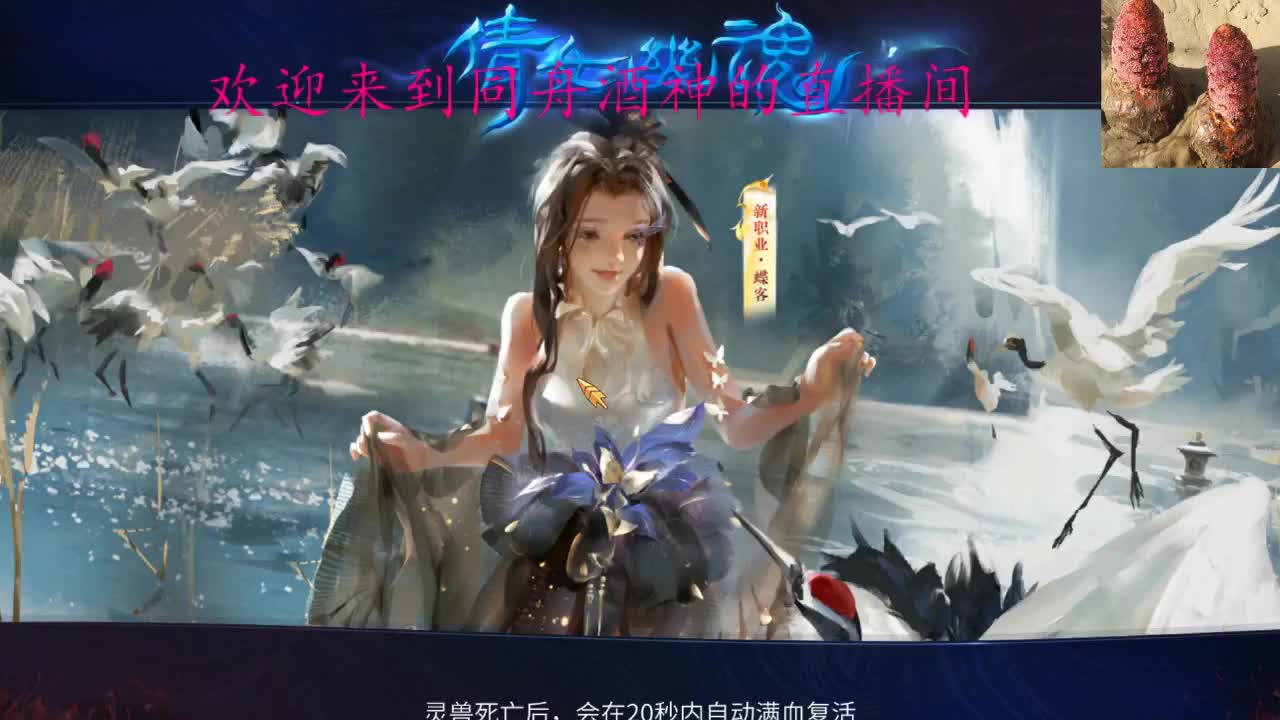 全网最垃圾主播 第1段