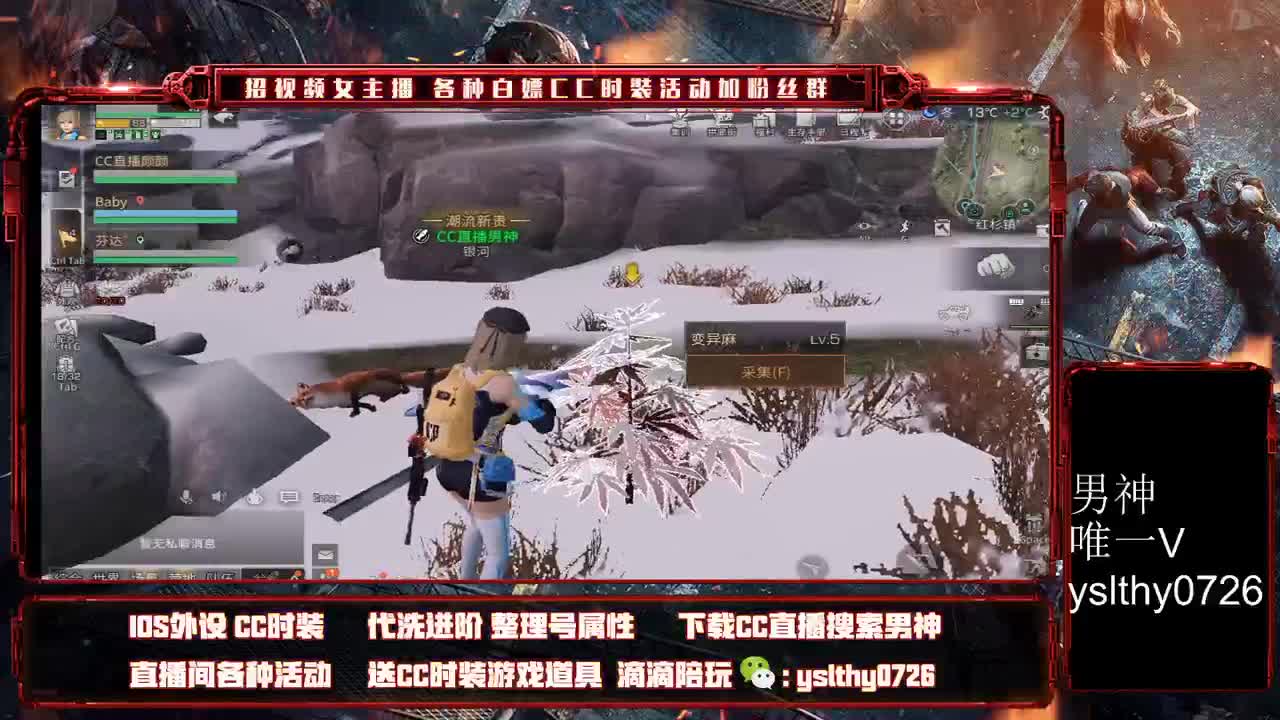 晚上好！