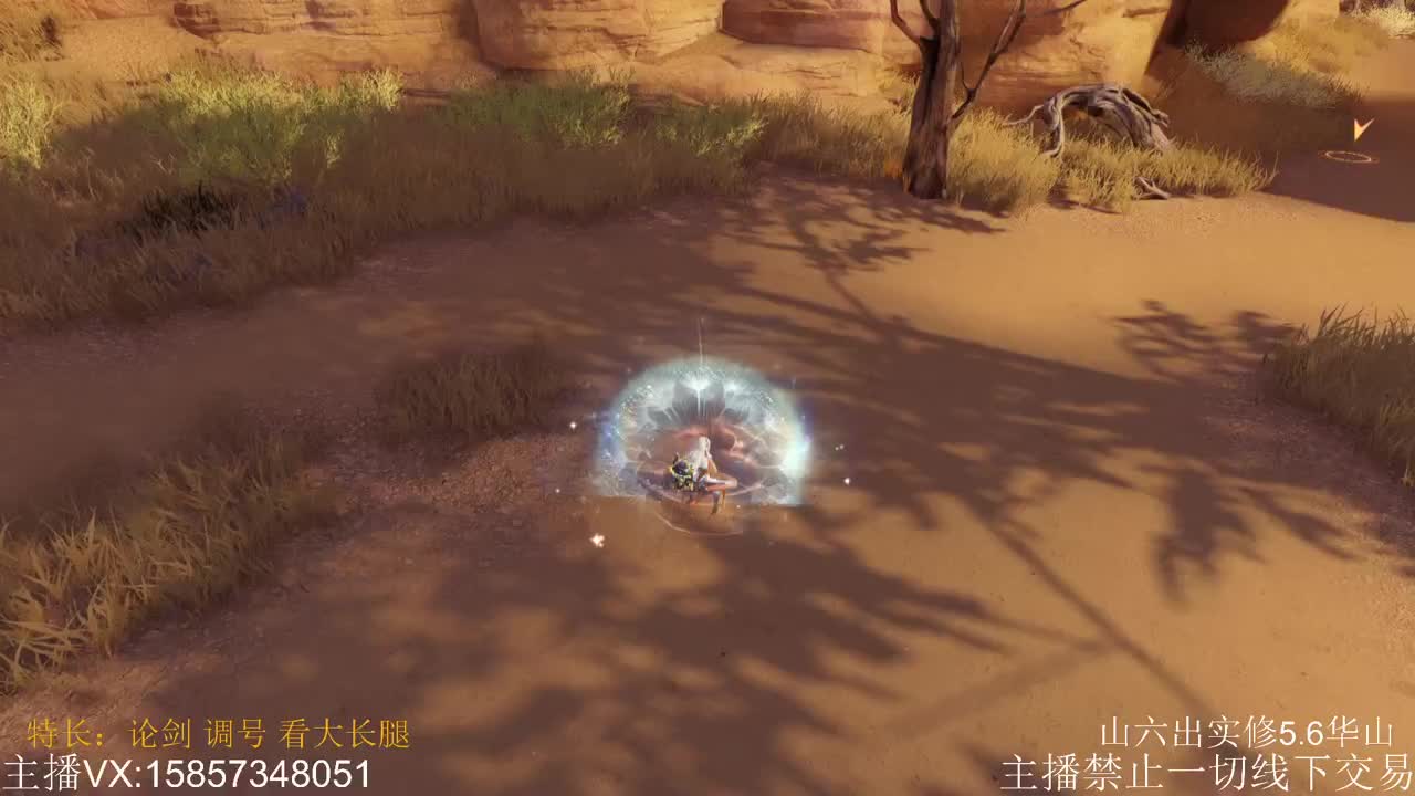 开始今日的表演 第1段