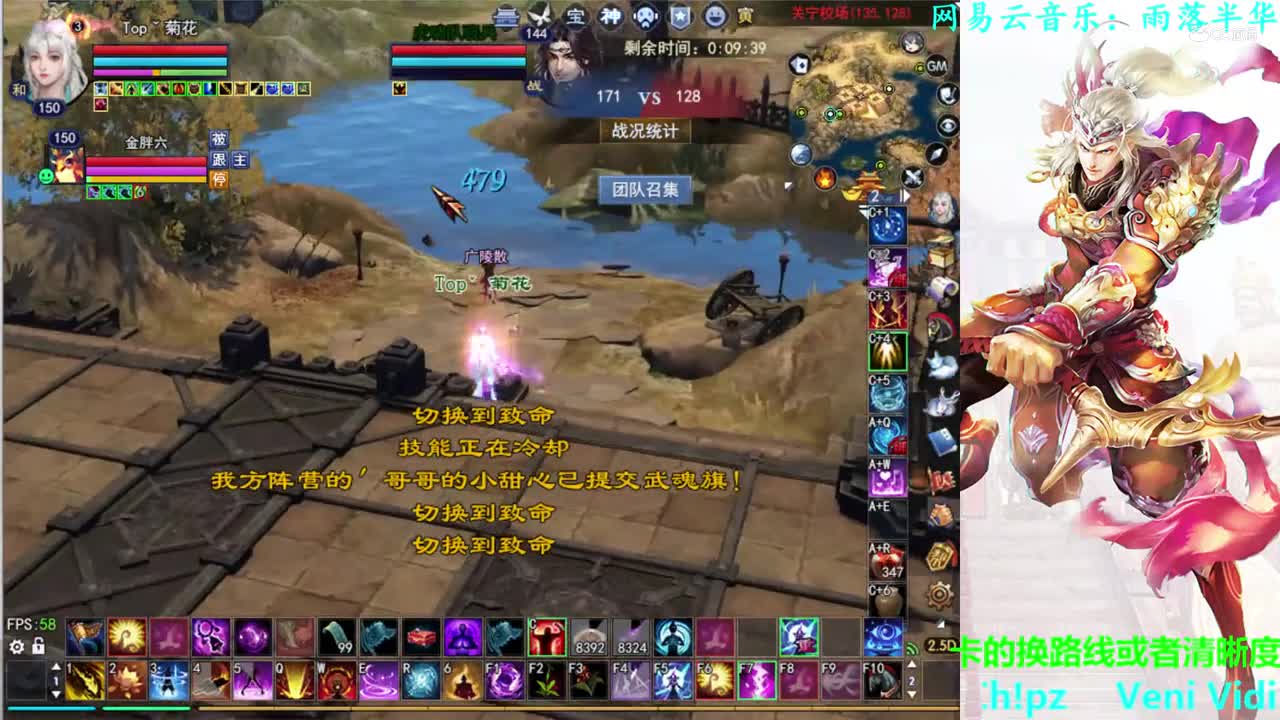 菊花150司星3