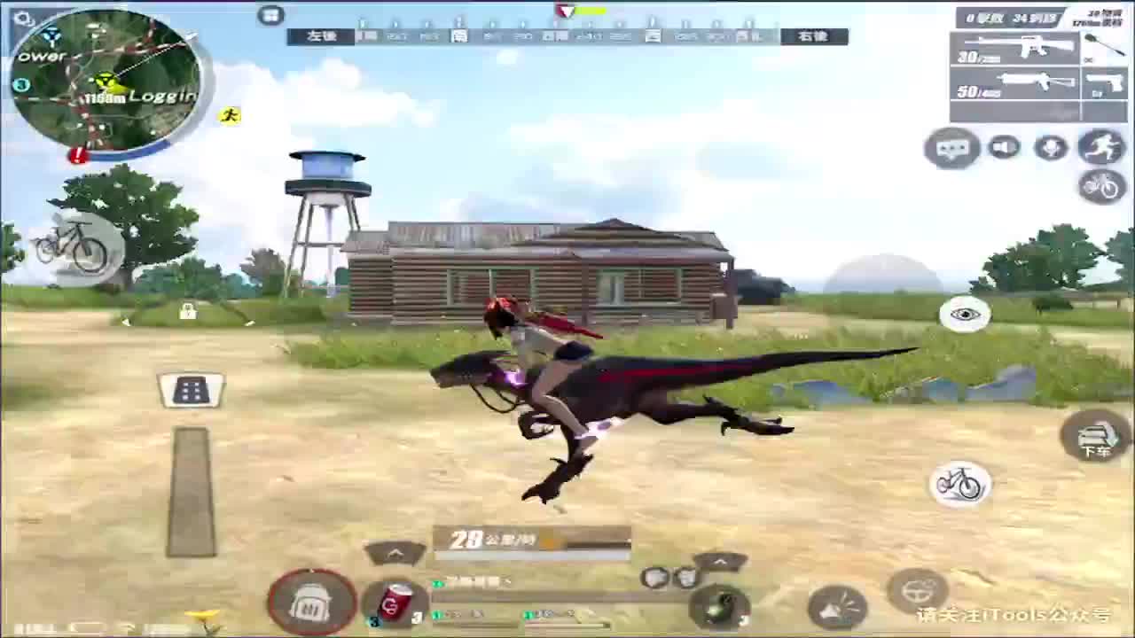 加油鸭!