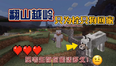 我的世界：在贝爷生存千里之外牵回来一只狼，也太难了！