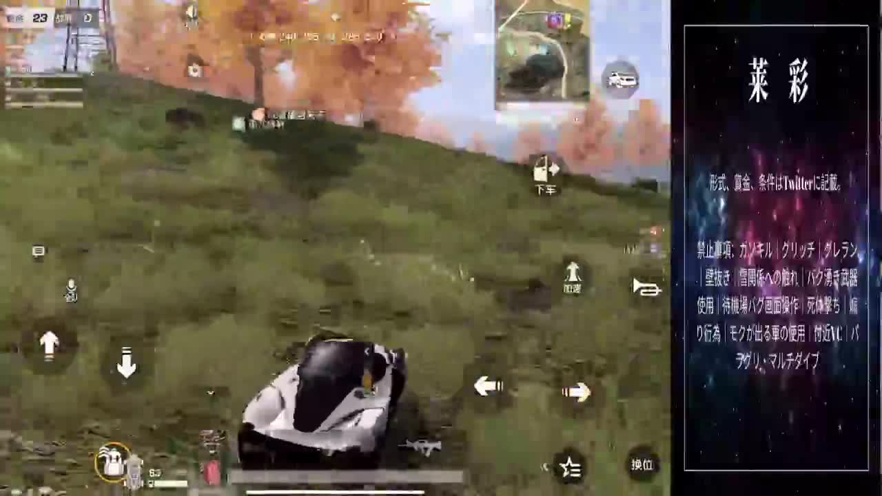 xinkule 第2段
