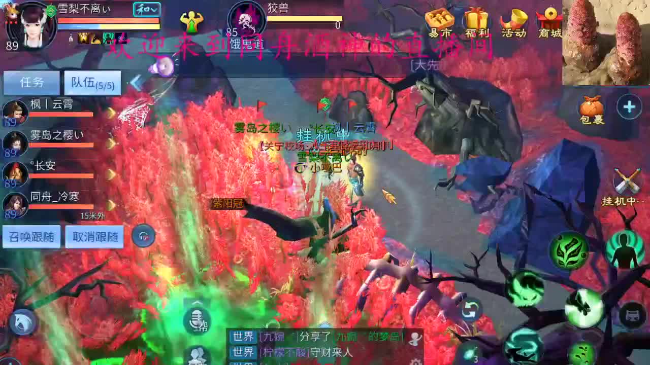 新区接托管打造 第4段