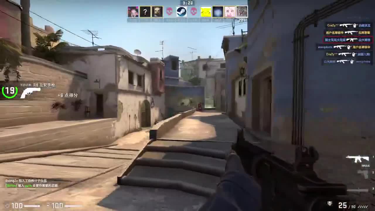 鲨