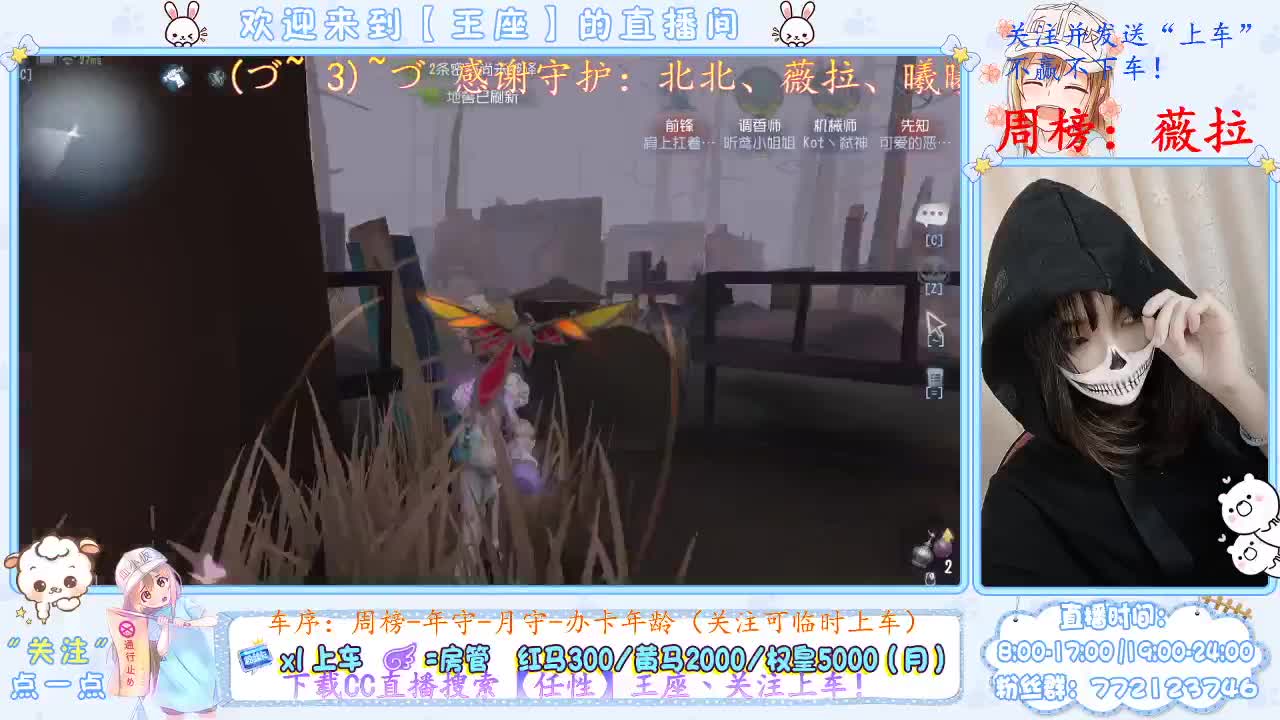 座座子来啦~