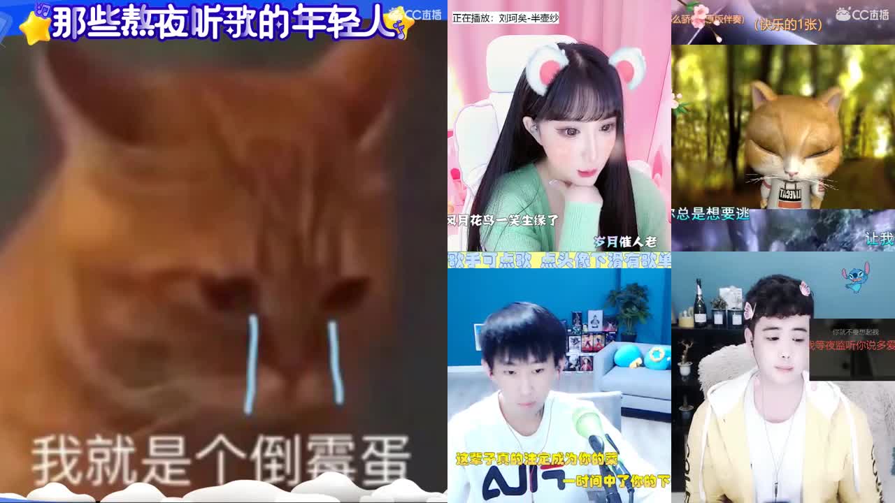 智商-9999