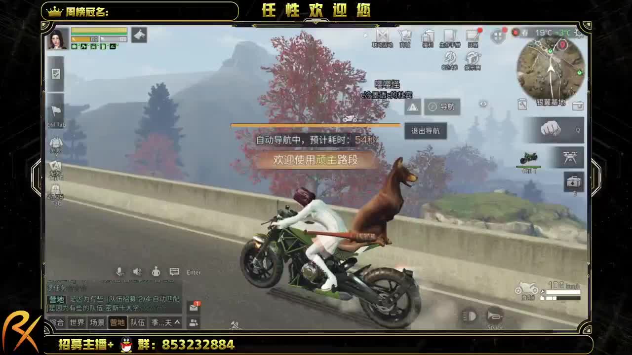 好不了了啊