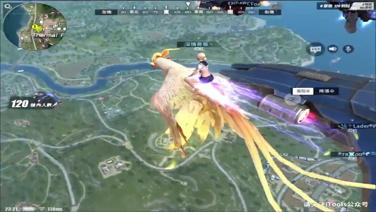 加油鸭!