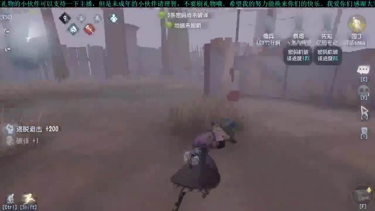 洋洋洋：开车车