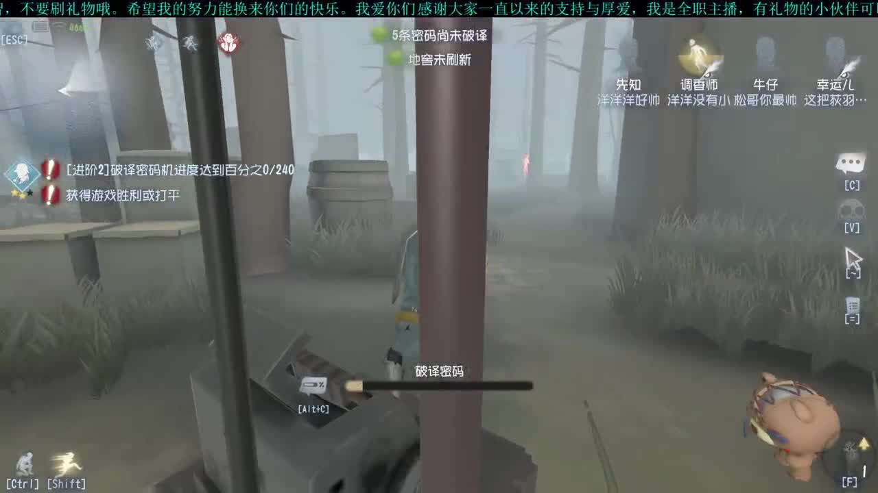 洋洋洋：开车车