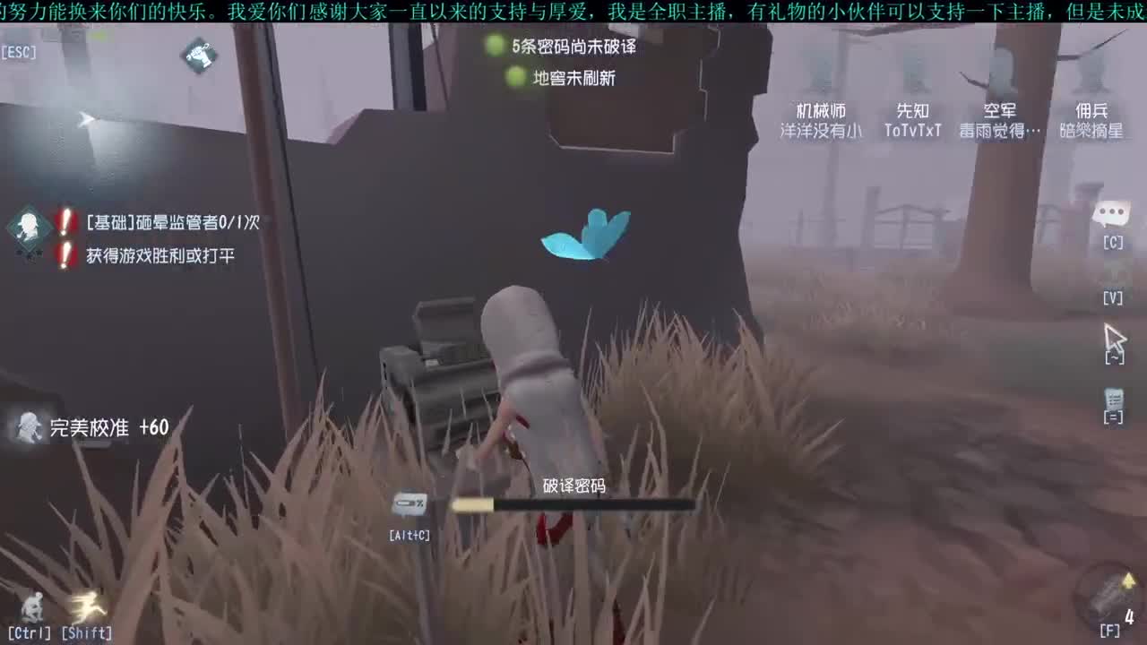 洋洋洋：开车车
