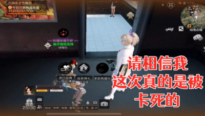 请相信我这次真的是被卡死的!明日之后 静观思禅 抄家
