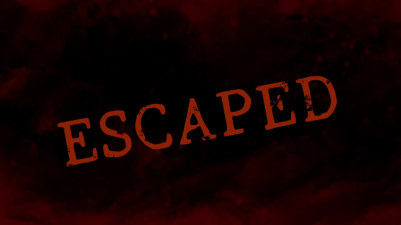 洋洋洋:愚人节快乐 第3段